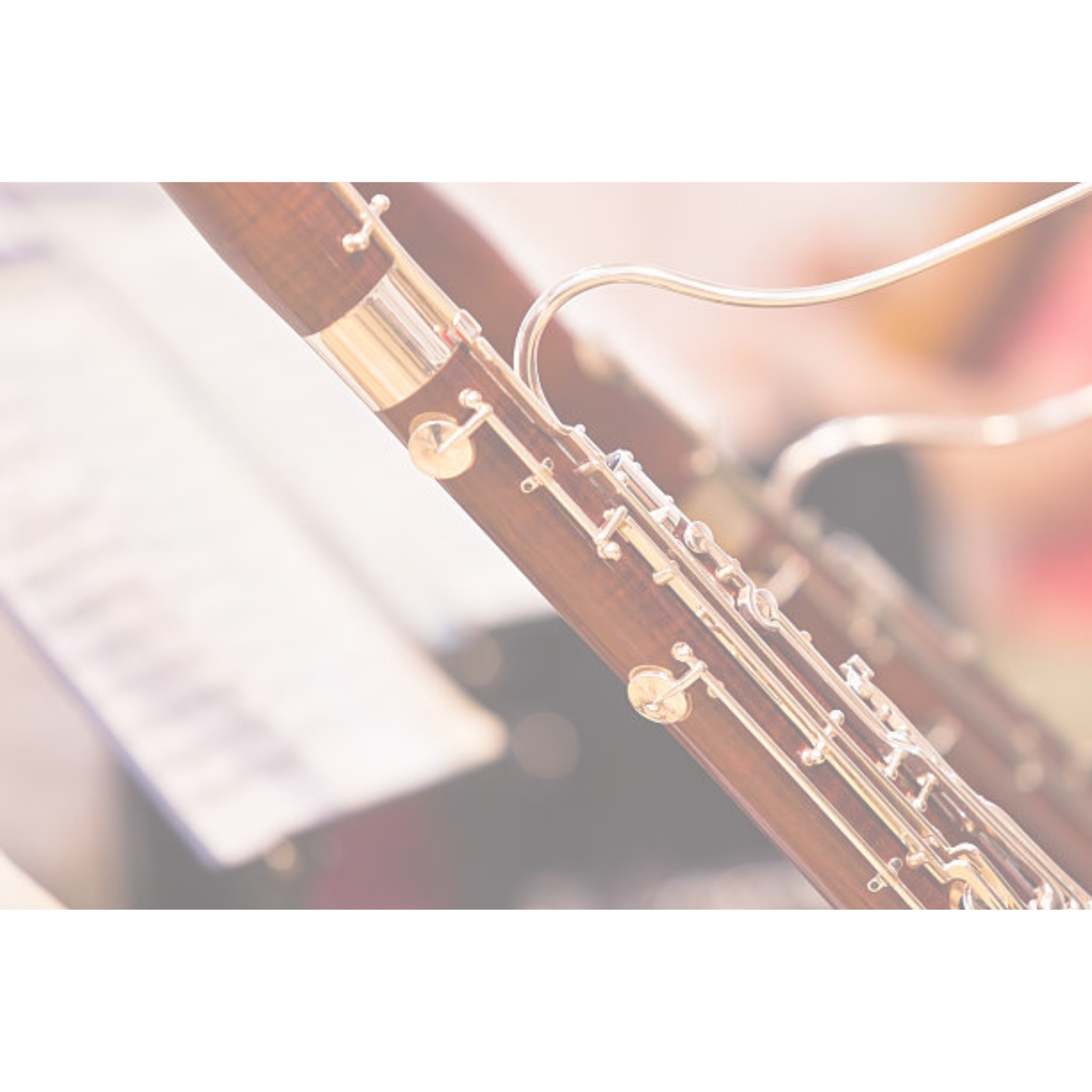 Musical Instrument Insurance Companies