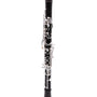 Rental Royal Global Genesis Bb Clarinet