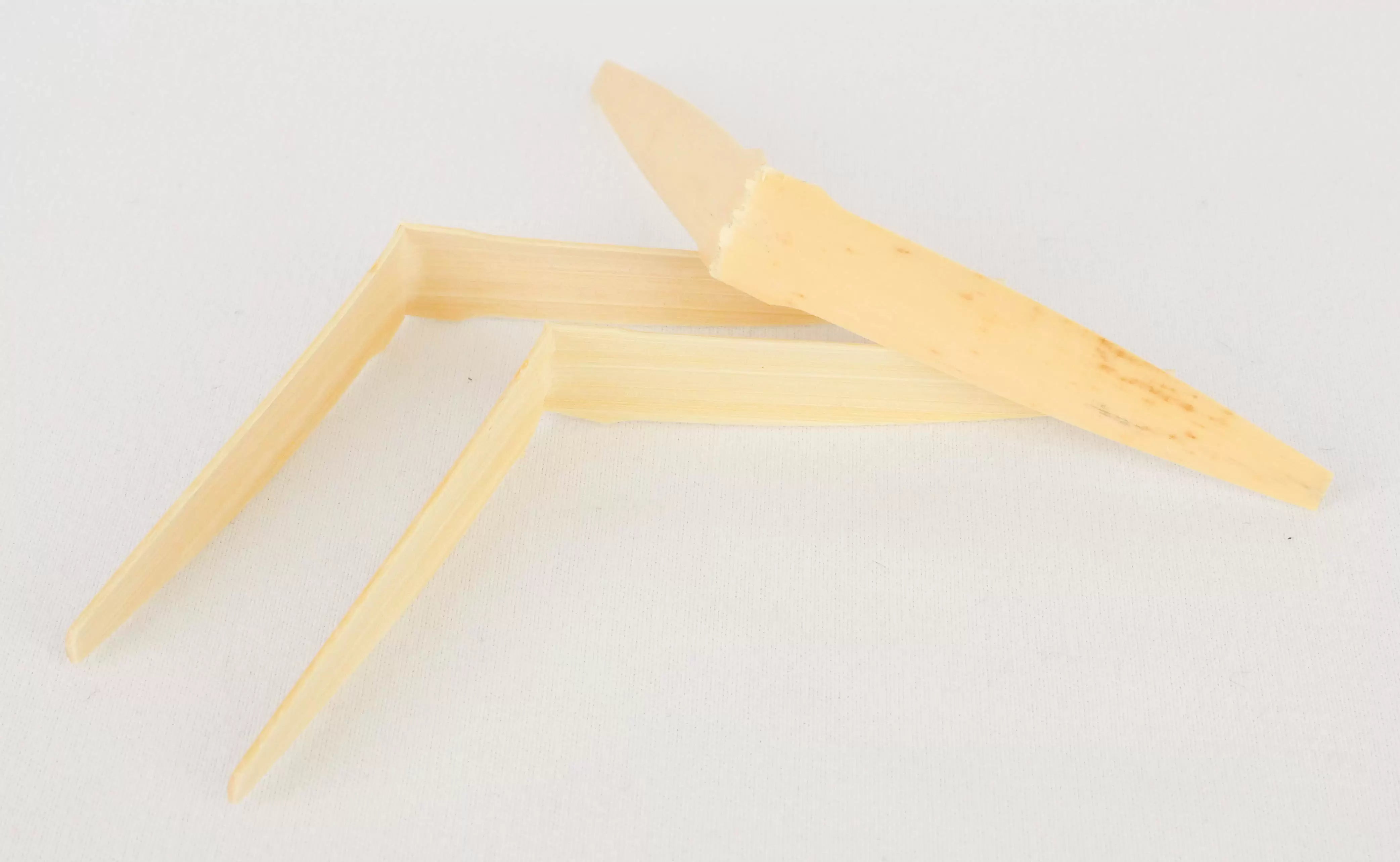 House Shaped Rigotti English Horn Cane