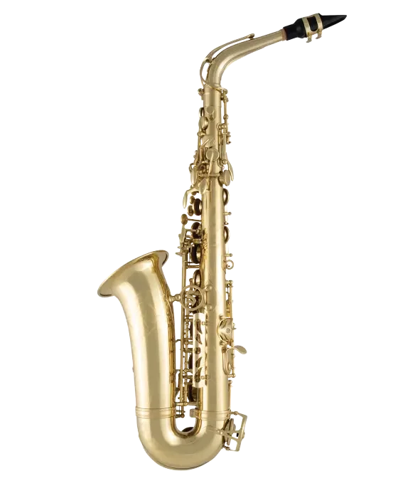 Selmer SAS711 Alto Saxophone