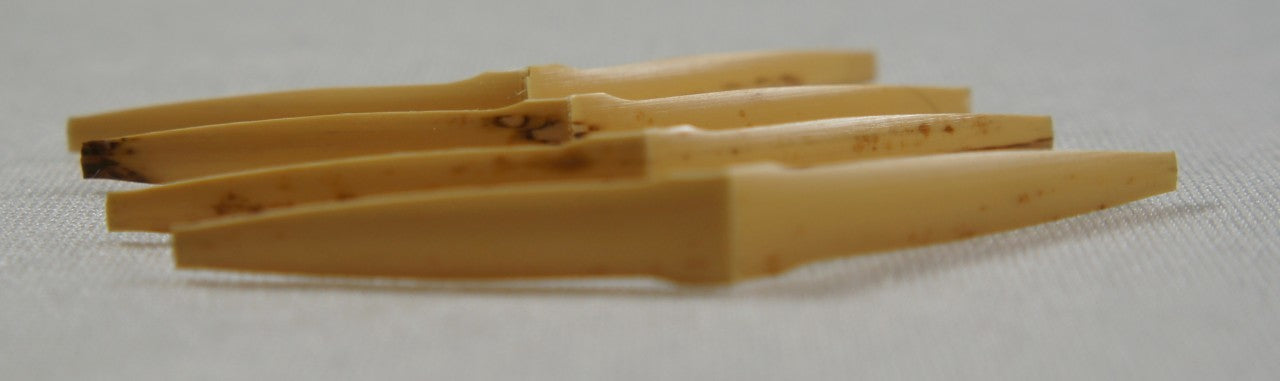 Gonzalez shaped oboe cane (gouged and shaped by Argendonax)