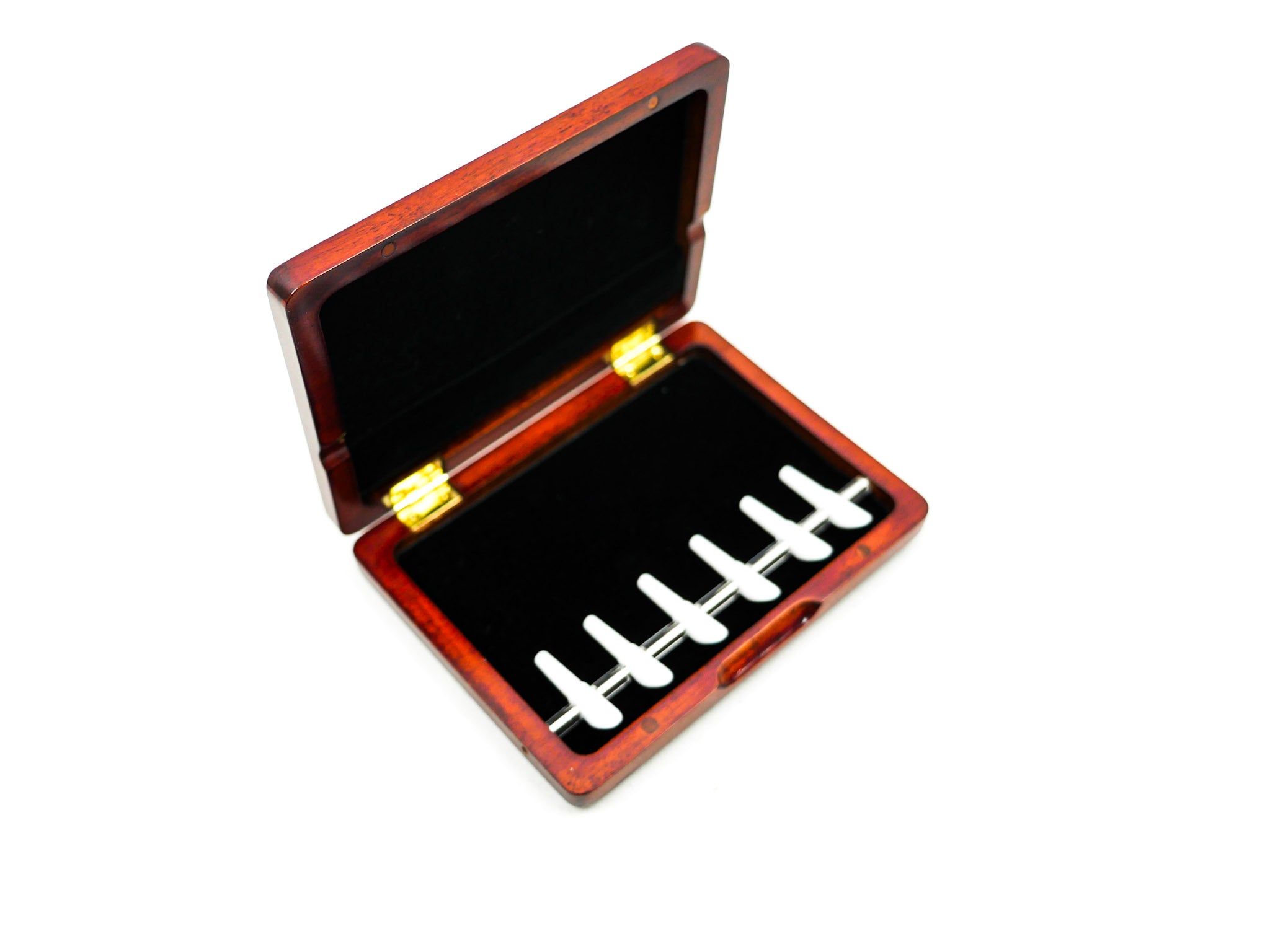 Rigotti 6-Reed Bassoon Reed Case with Mandrels