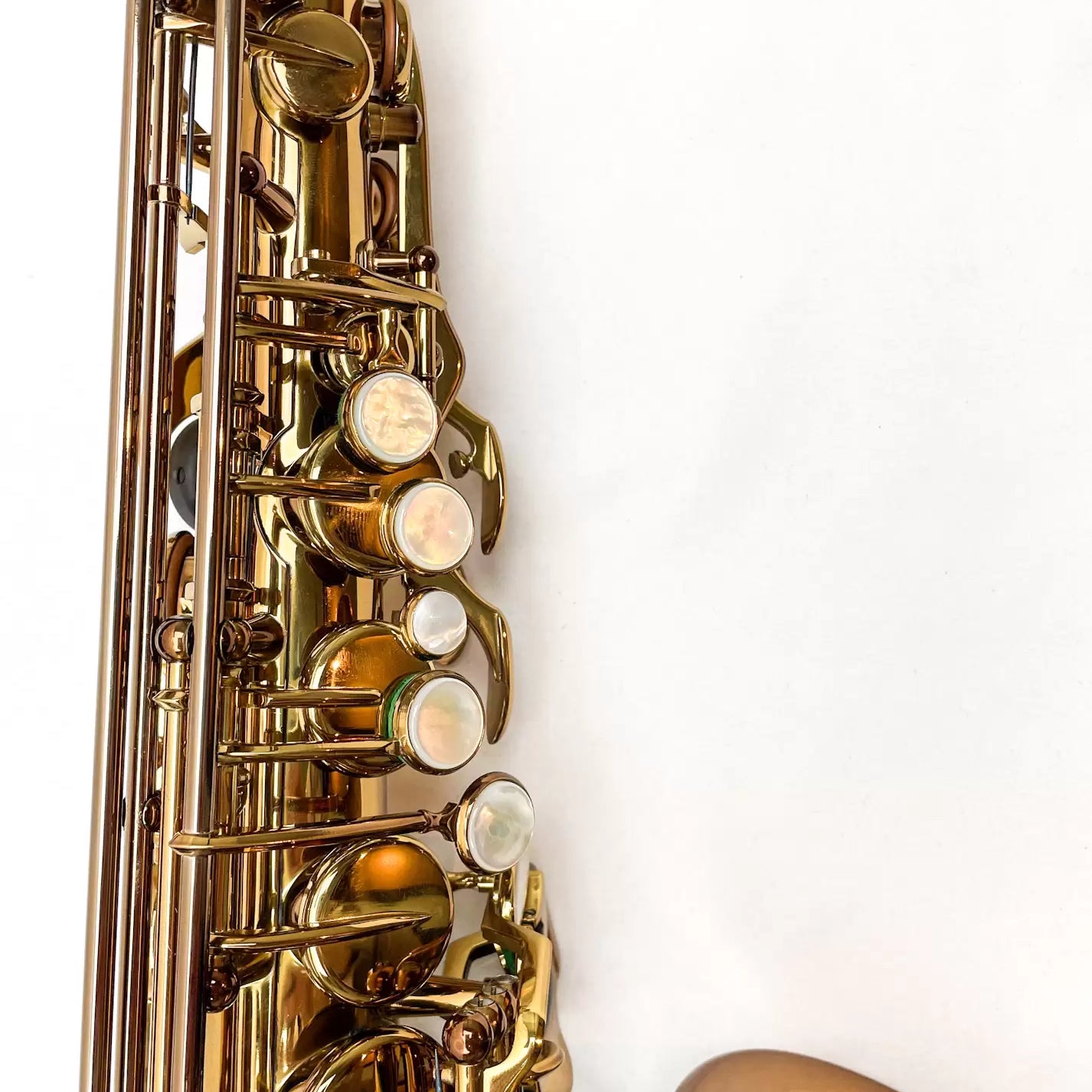 Ishimori Woodstone "Super Custom" Alto Saxophone