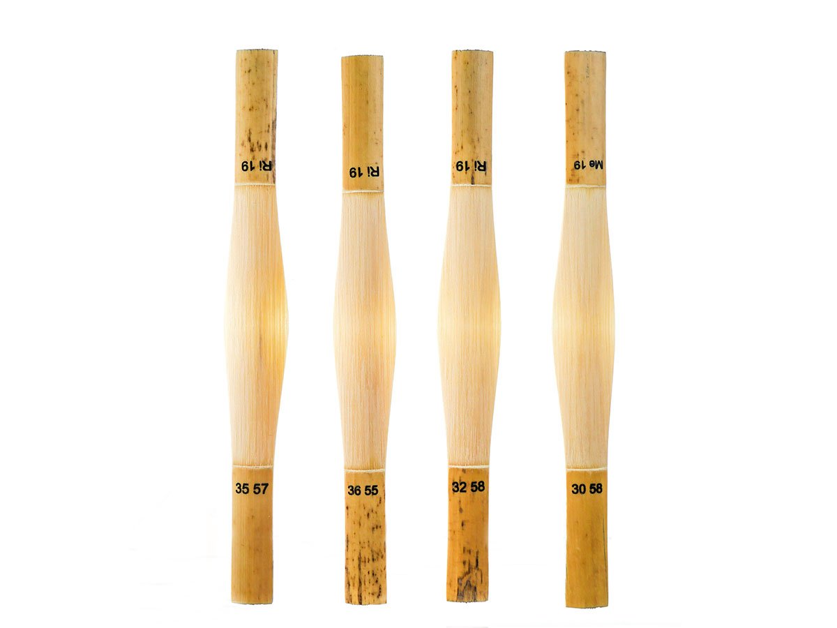 Reedspiration GSP Bassoon Cane
