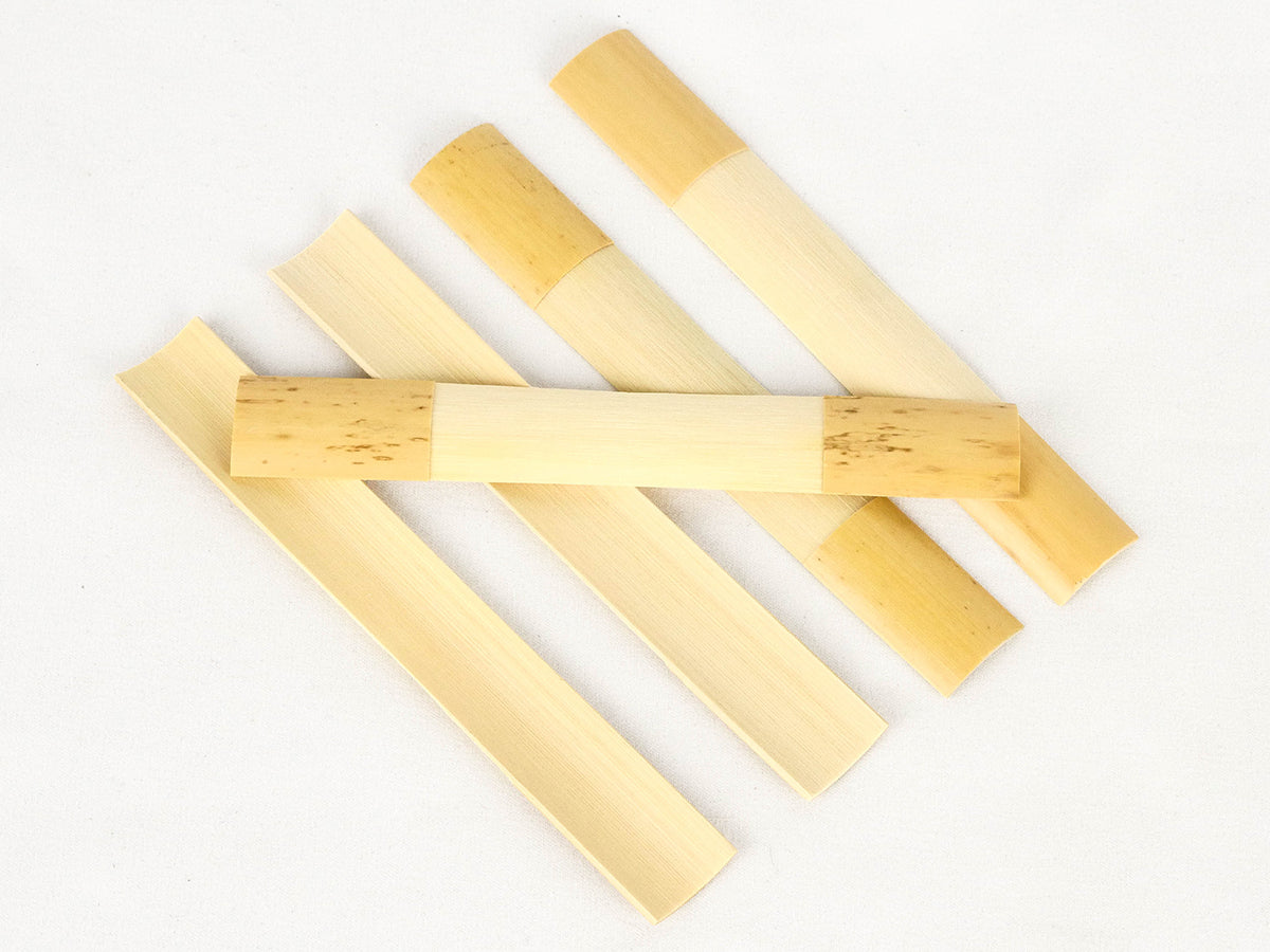Gouged & Profiled Bassoon Cane