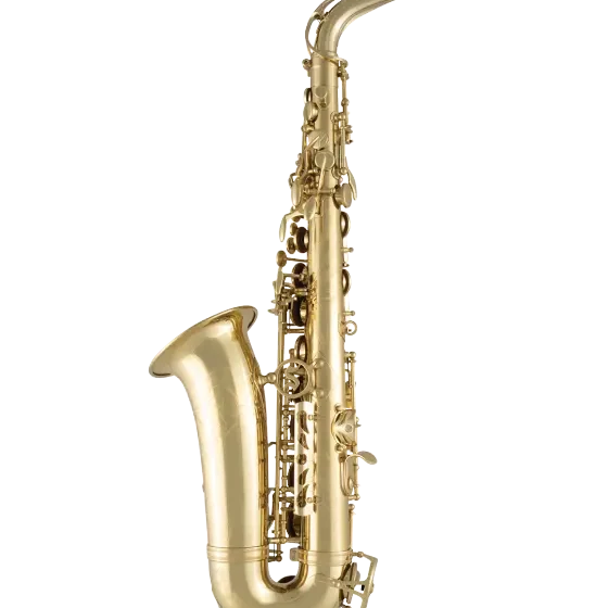 Selmer SAS711 Alto Saxophone