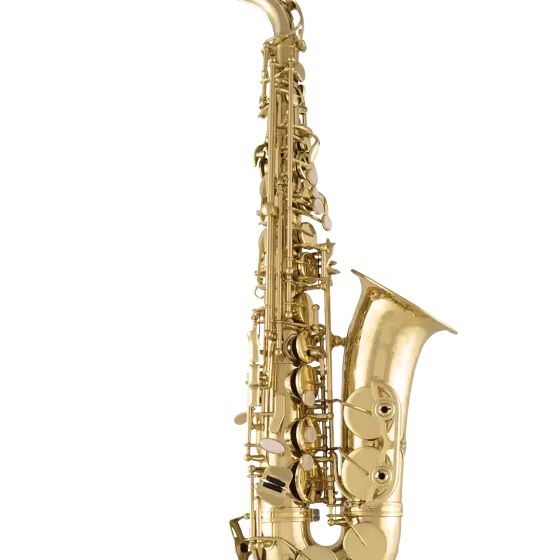 Selmer SAS711 Alto Saxophone