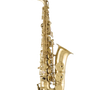 Selmer SAS711 Alto Saxophone