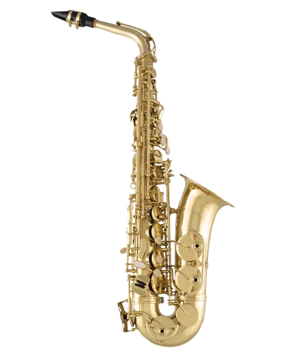 Selmer SAS711 Alto Saxophone
