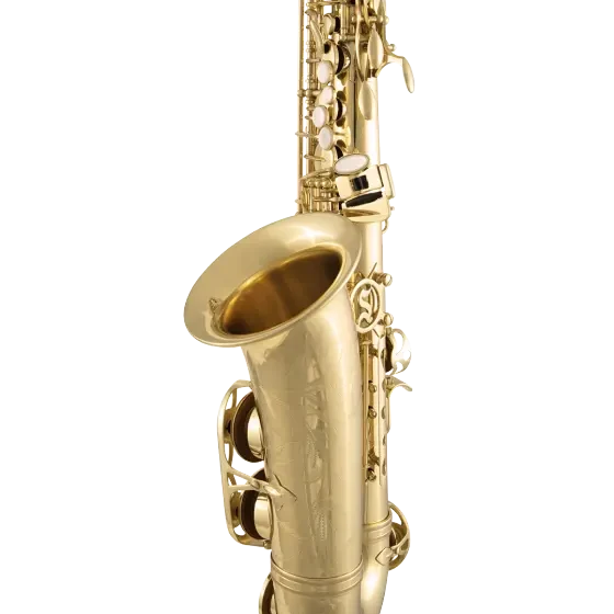 Selmer SAS711 Alto Saxophone