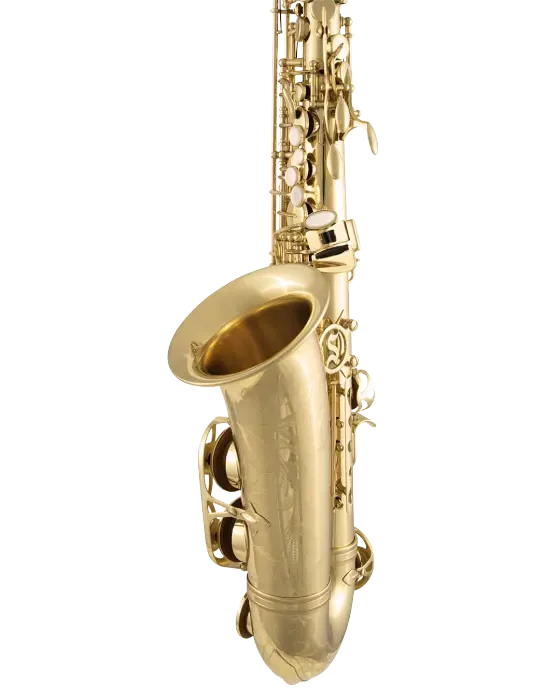 Selmer SAS711 Alto Saxophone