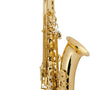 Rental Selmer STS411 Tenor Saxophone