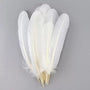 Turkey Feathers - Pack of 5