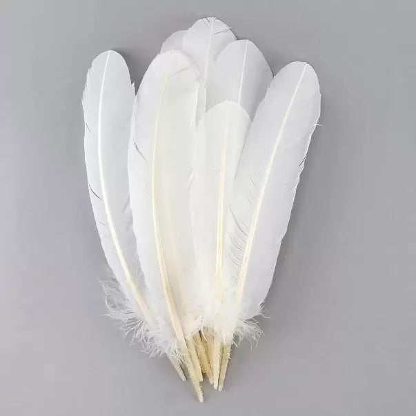 Turkey Feathers - Pack of 5