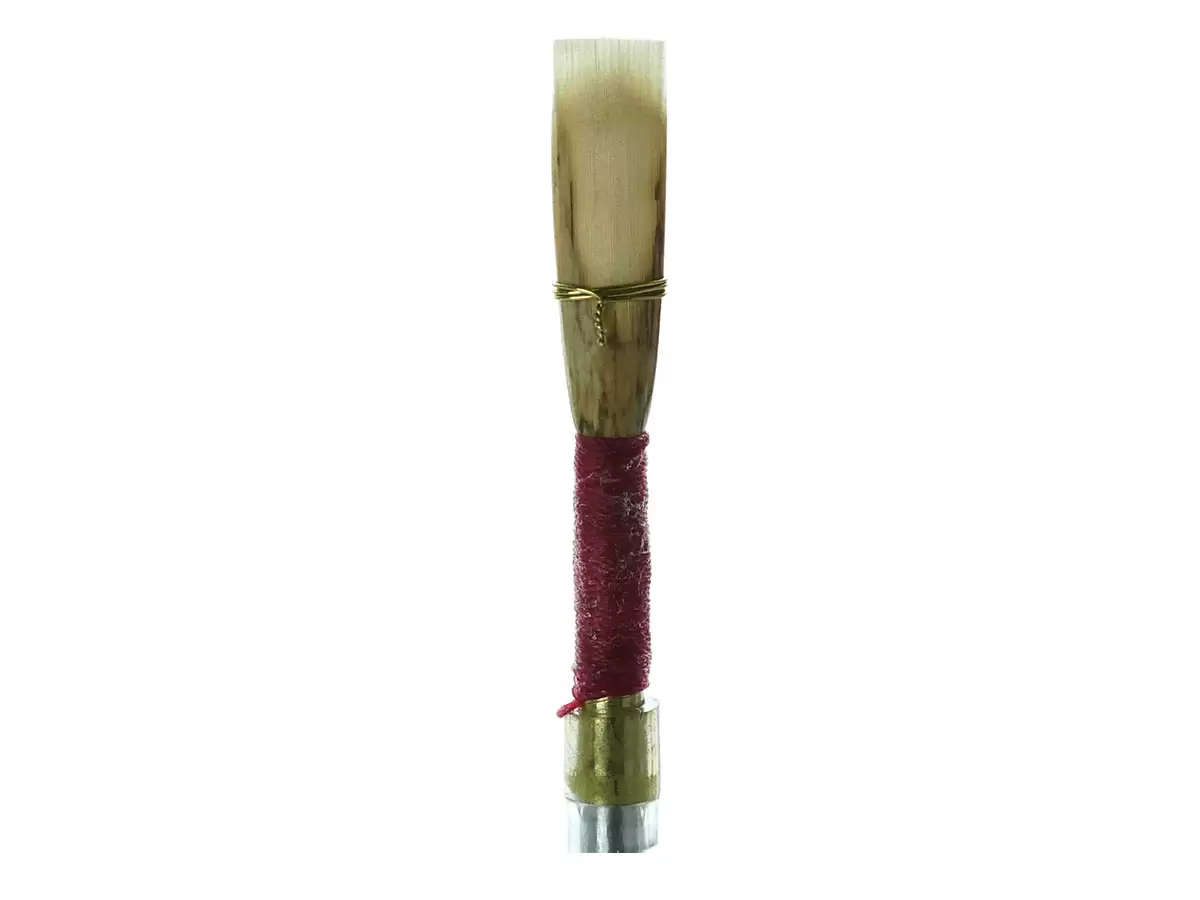Sandy English horn reed