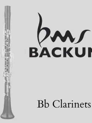 Bb Backun Clarinets