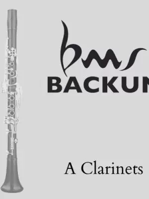 A Backun Clarinets